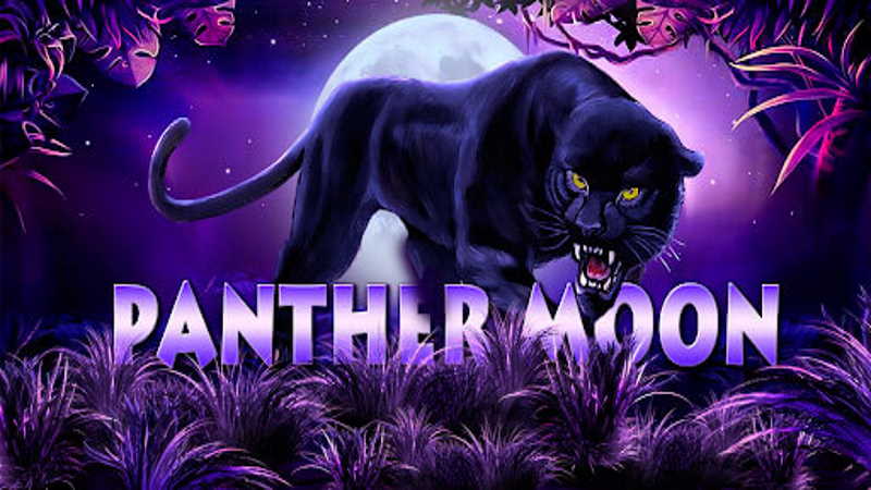 panther moon-joker123